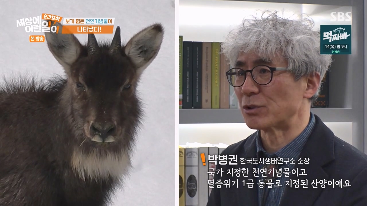 순간포착 세상에 이런일이.E1268.240310p-NEXT.mp4_20240310_125328.591.jpg