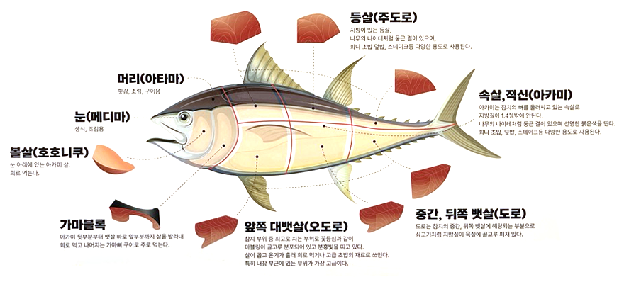 참치 부위 종류별 특징 맛있는 참치회 다랑어