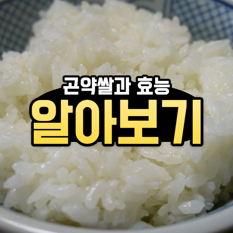  곤약쌀과 그 효능을 알면 다이어트는 쉬워진다.