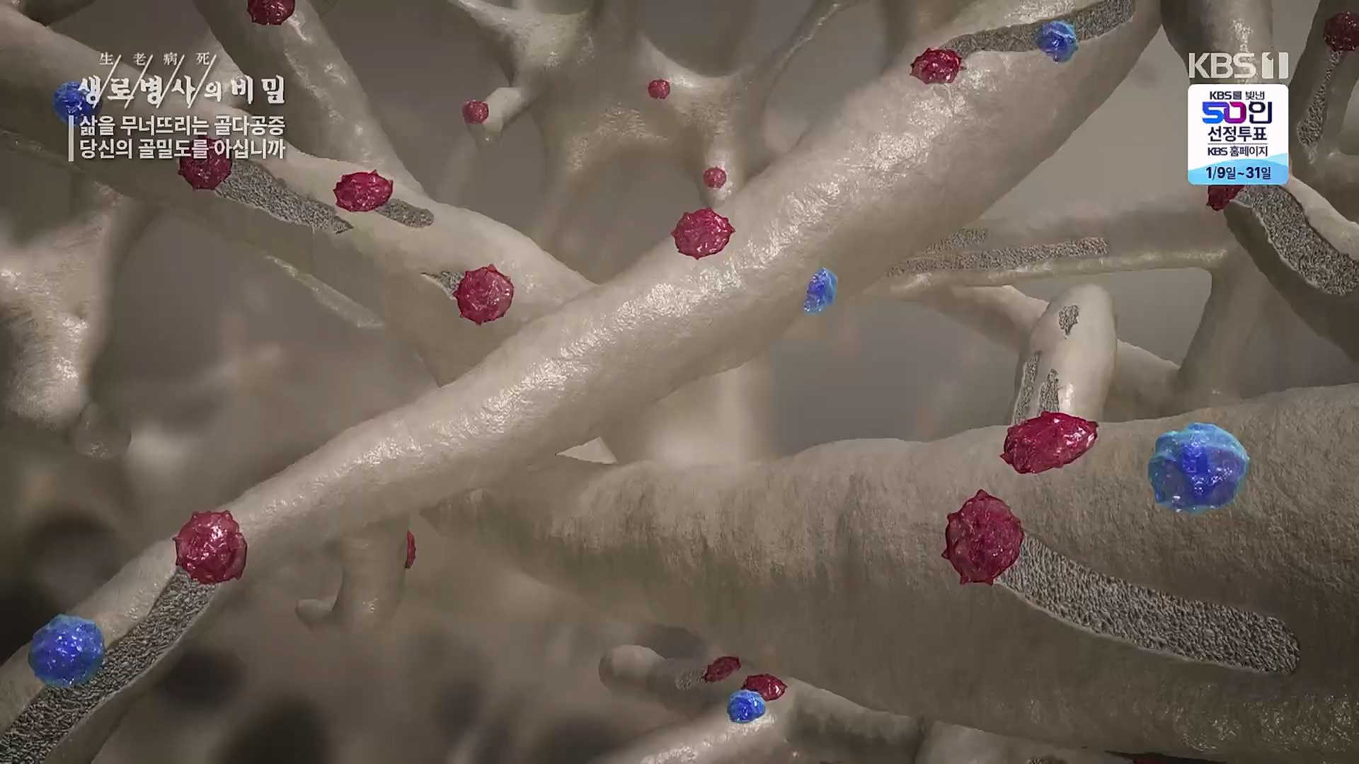 생로병사의 비밀.E852.230118p.H264-F1RST.mp4_20230120_200315.533.jpg