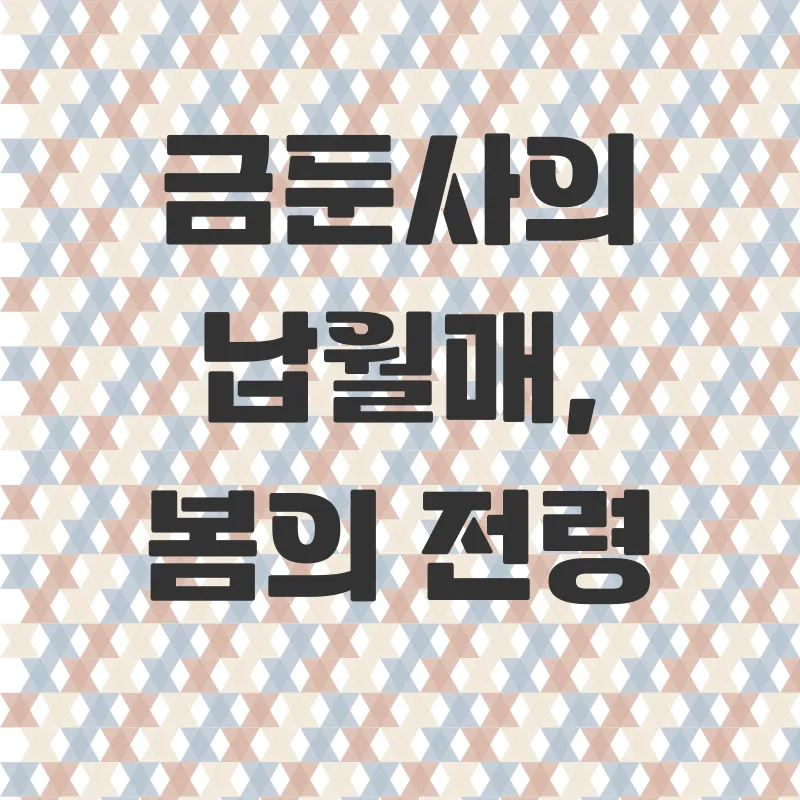 순천금둔사봄꽃트레킹_3