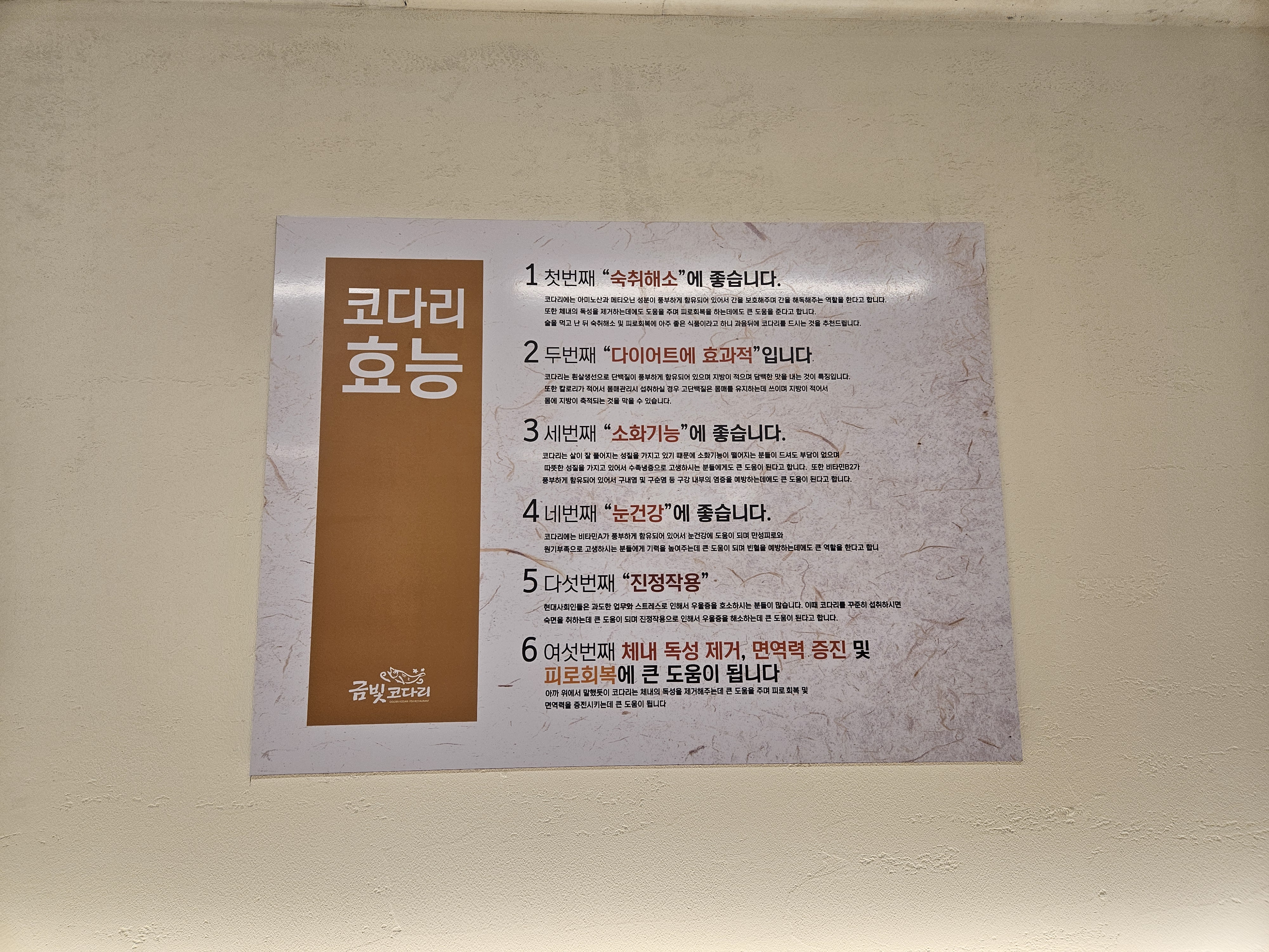 금빛코다리 이미지