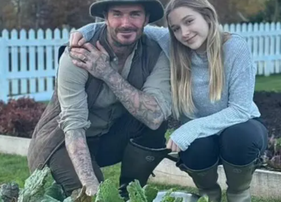 David Beckham&#39;s Organic Odyssey From Football Fields to Bee Farms