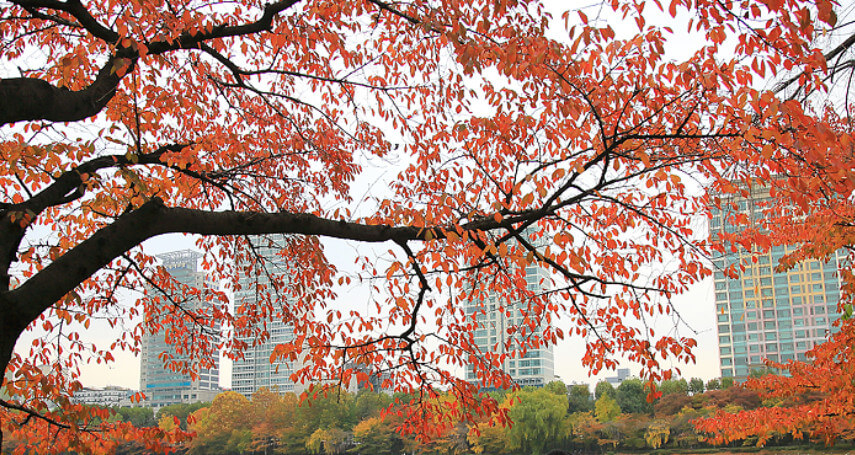 지하철로 가는 서울 경기 단풍 명소 추천