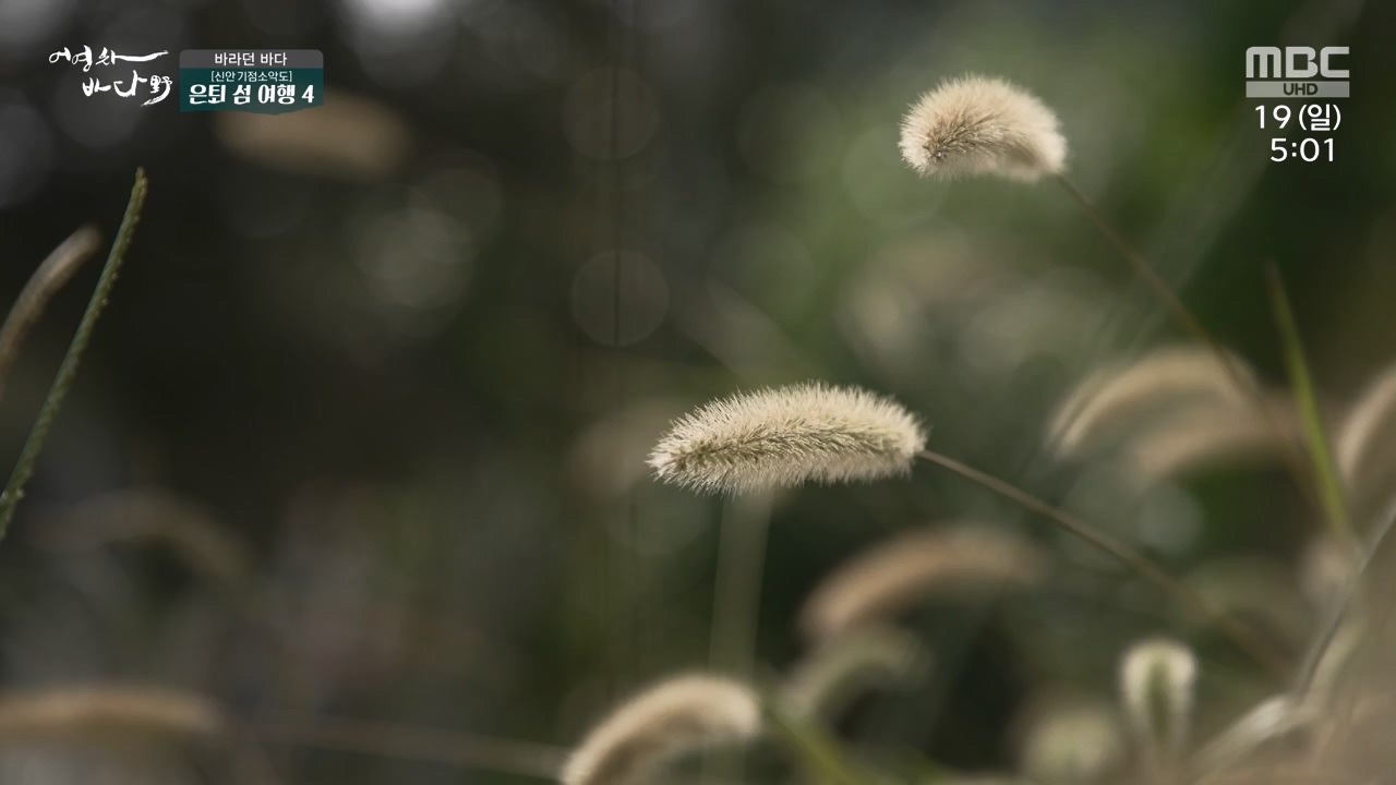 MBC 네트워크 특선 푸른백세 어영차 바다야.E1648.231120p-NEXT.mp4_20231122_203359.510.jpg