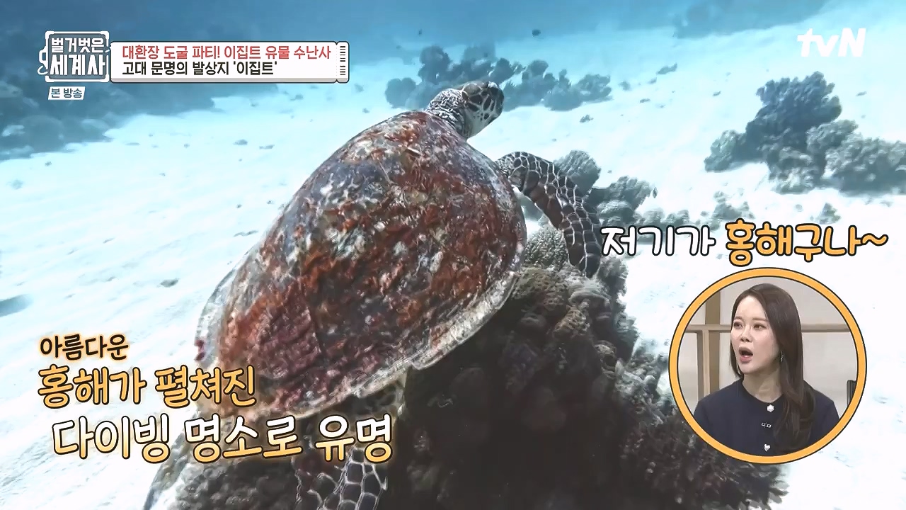 벌거벗은 세계사.E139.240221p-NEXT.mp4_20240804_163156.646.jpg