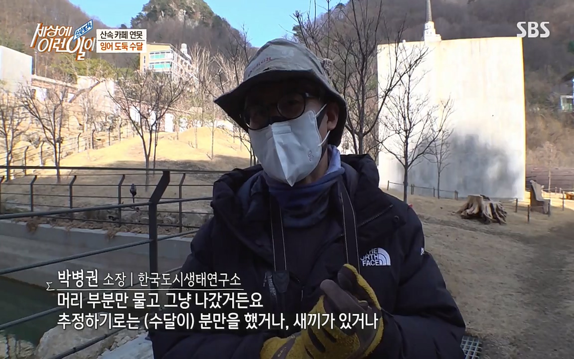 순간포착 세상에 이런일이.E1175.220413p-NEXT.mp4_20220413_175832.946.jpg