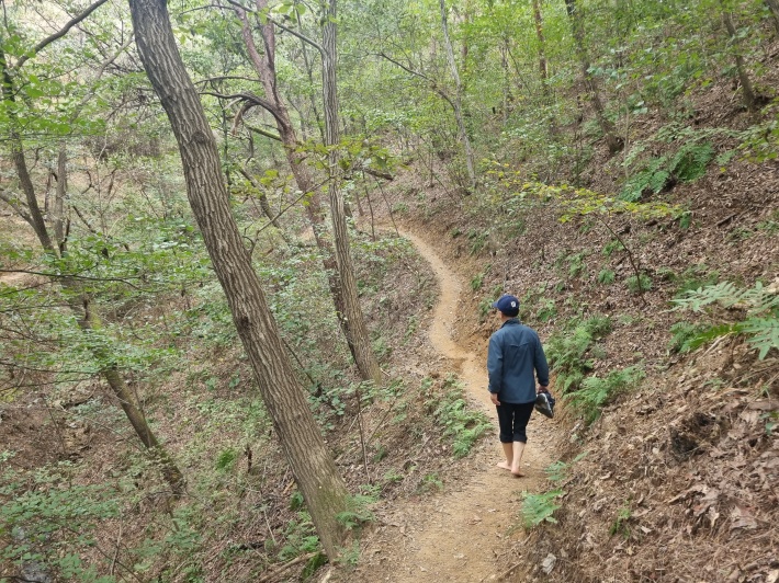 괴화산-오솔길