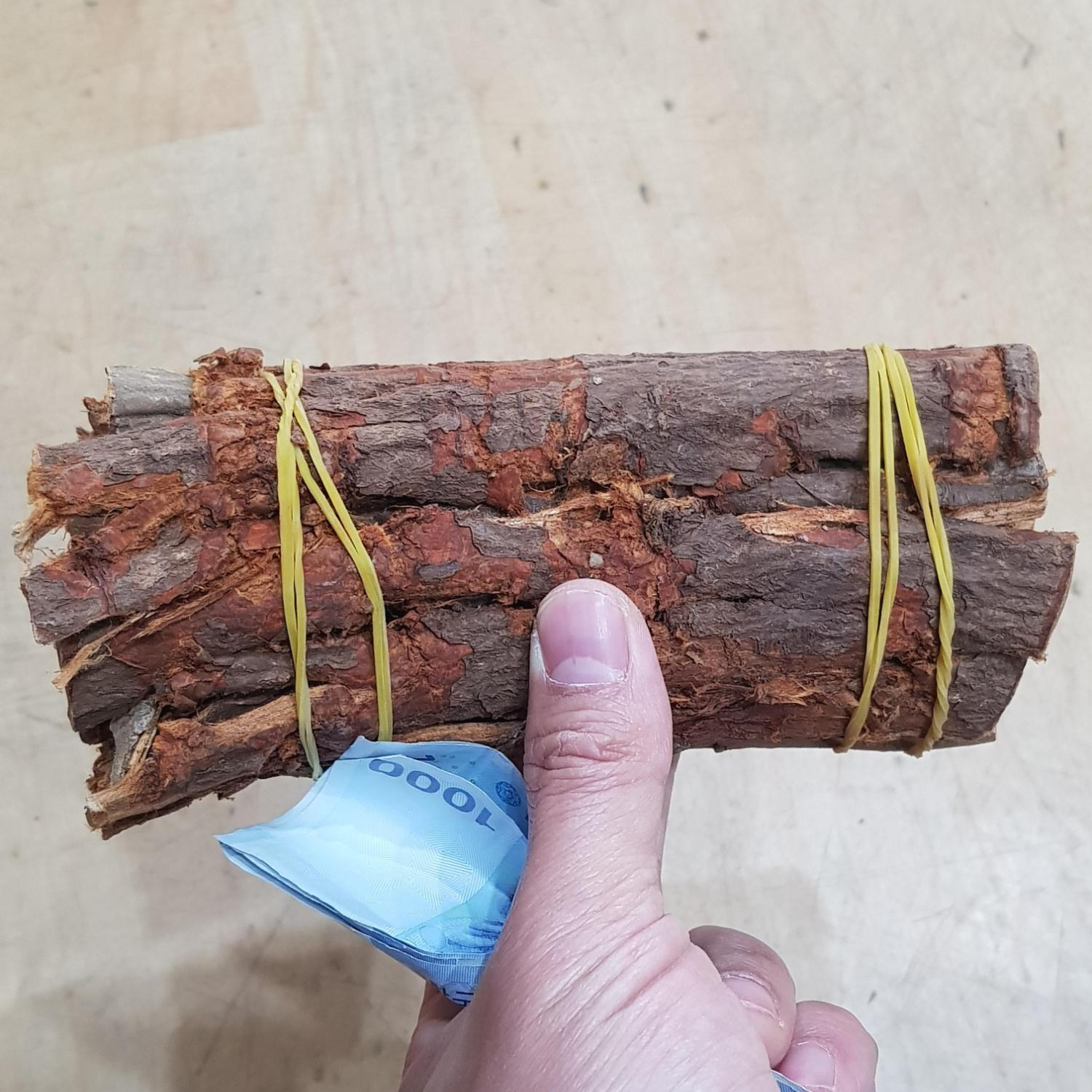 고무줄을 사용하여 단으로 묶은 건조한 국산 느릅나무 뿌리 껍질 유근피