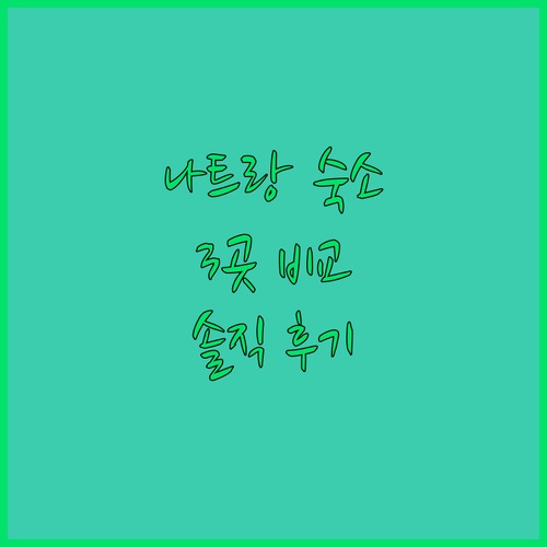 나트랑 여행 필수 숙소 버고 호텔, 
