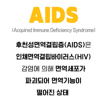  HIV & AIDS 차이 - 감염경로 - 예방 - 치료