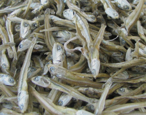  멸치만큼 우리몸에 좋은 음식, 멸치 보다 '이 음식' 추천