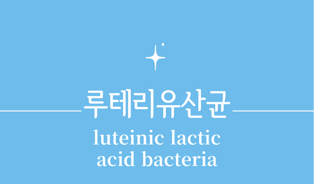 '루테리유산균(luteinic lactic acid bacteria)'