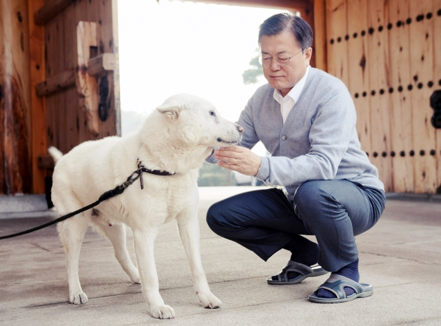풍산개-만지는-문재인