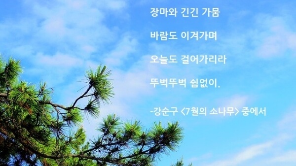 시 내용 일부가 들어간 이미지