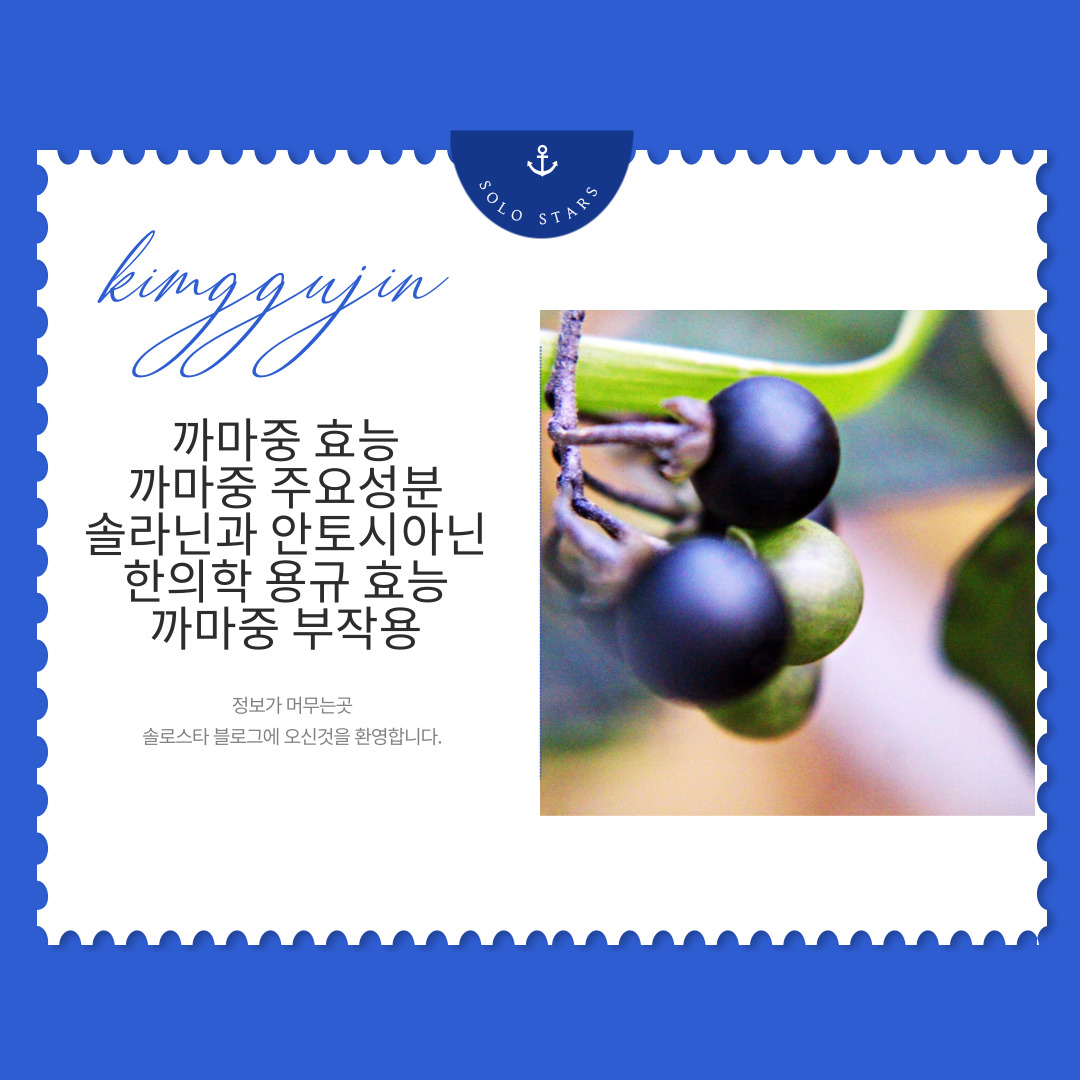 까마중 사진