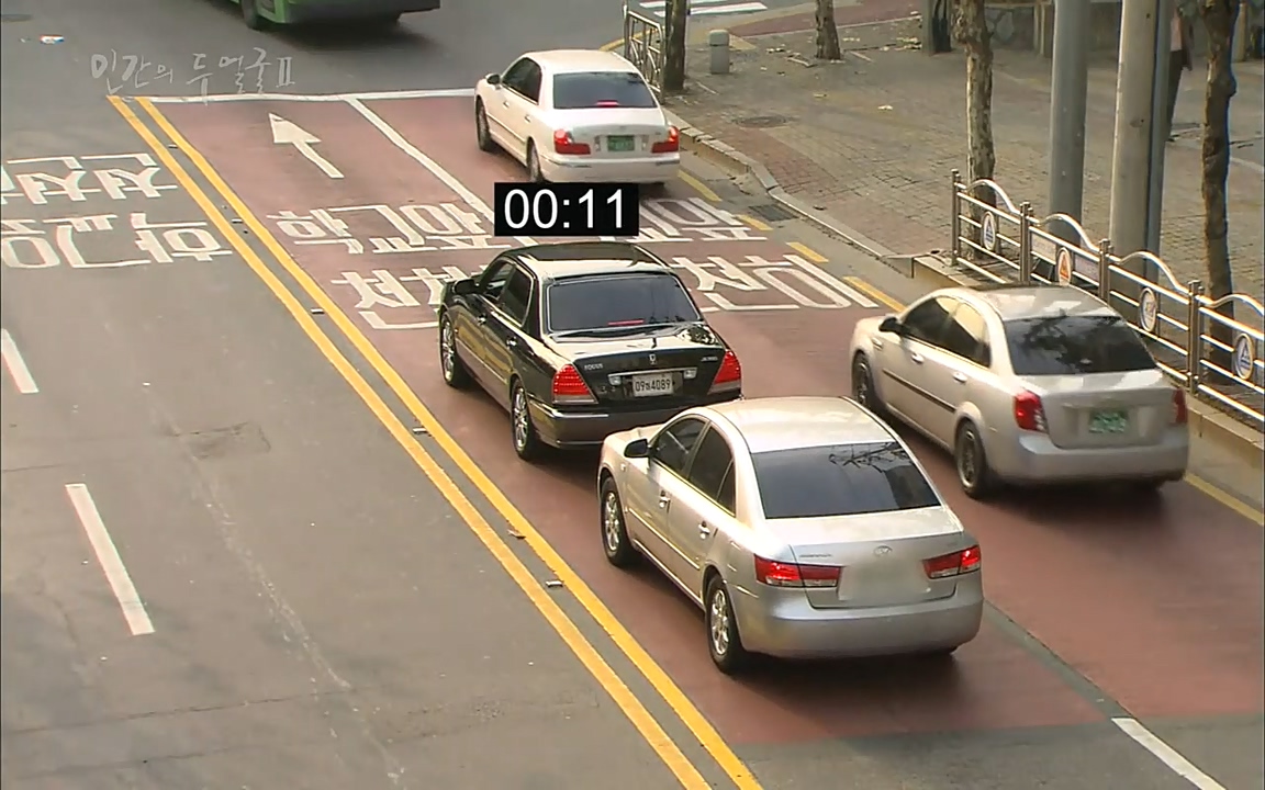 EBS 다큐프라임 - Docuprime, 인간의 두 얼굴2 제2부 아름다운 세상.mp4_20220608_205323.320.jpg