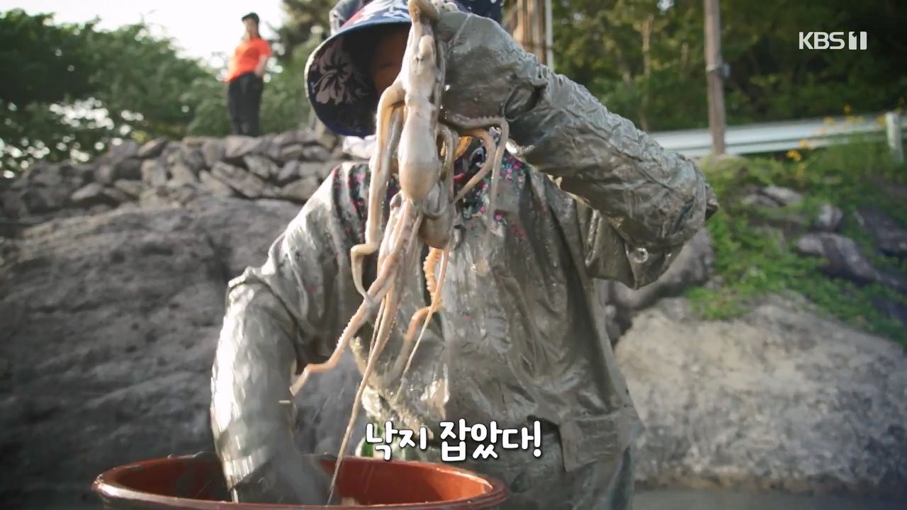다큐 온.E206.230723p-NEXT.mp4_20230724_211940.433.jpg