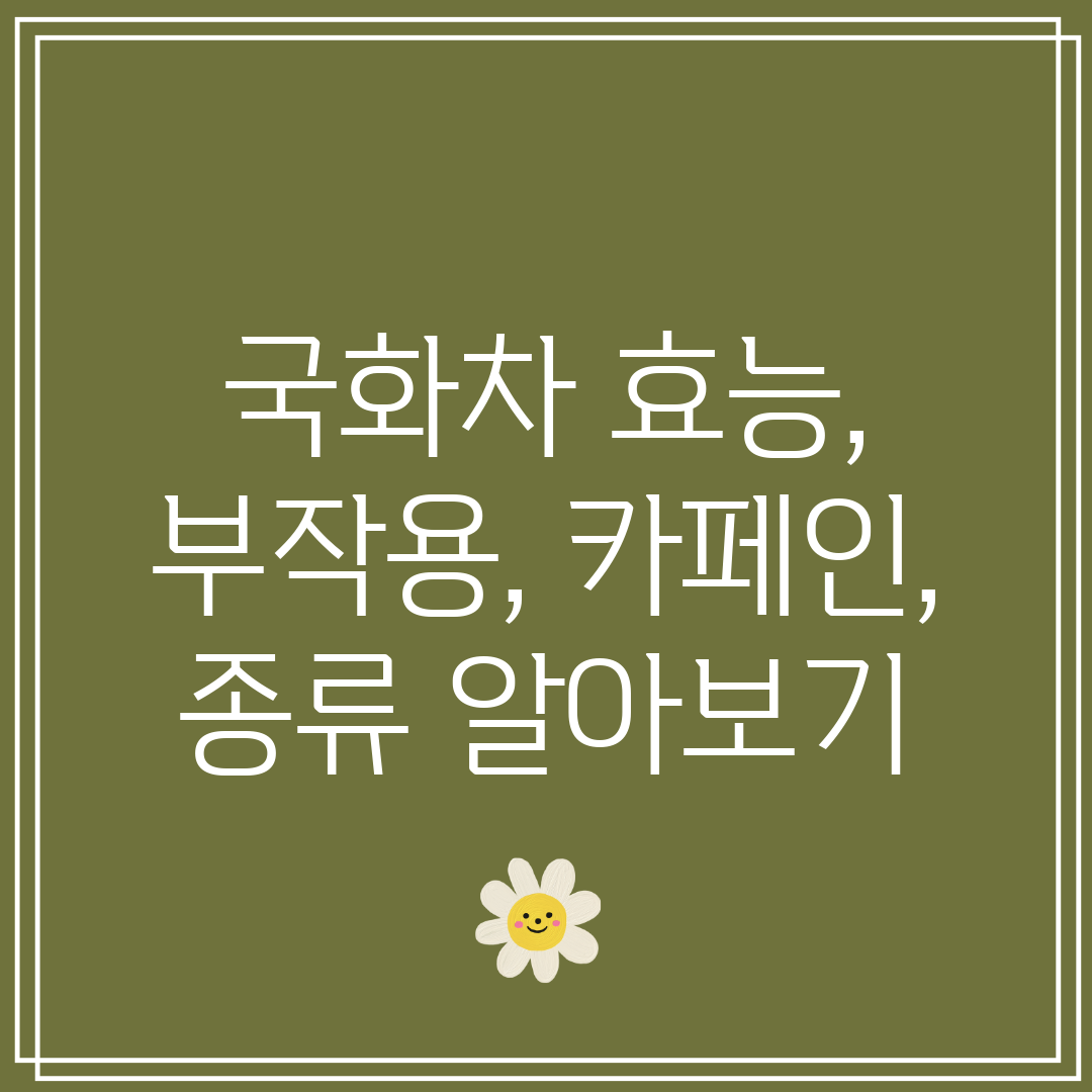 국화차 효능, 부작용, 카페인, 종류 알아보기