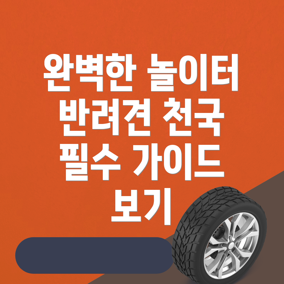 반려견 놀이터