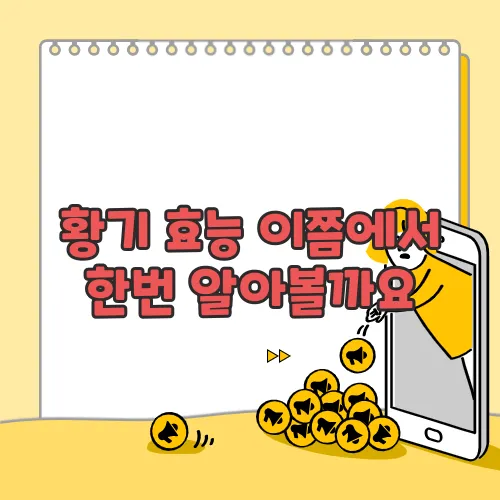 황기 효능 이쯤에서 한번 알아볼까요
