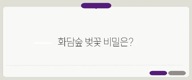 모노레일을 타며 만끽하는 화담숲의 벚꽃, 예약 꿀팁을 알아보세요!