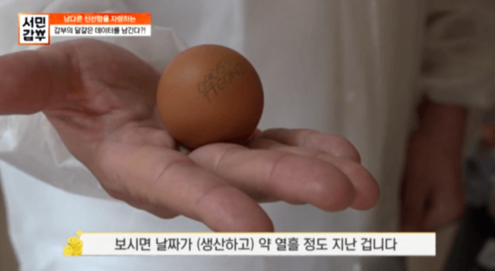 서민갑부-달걀-계란-황한솔