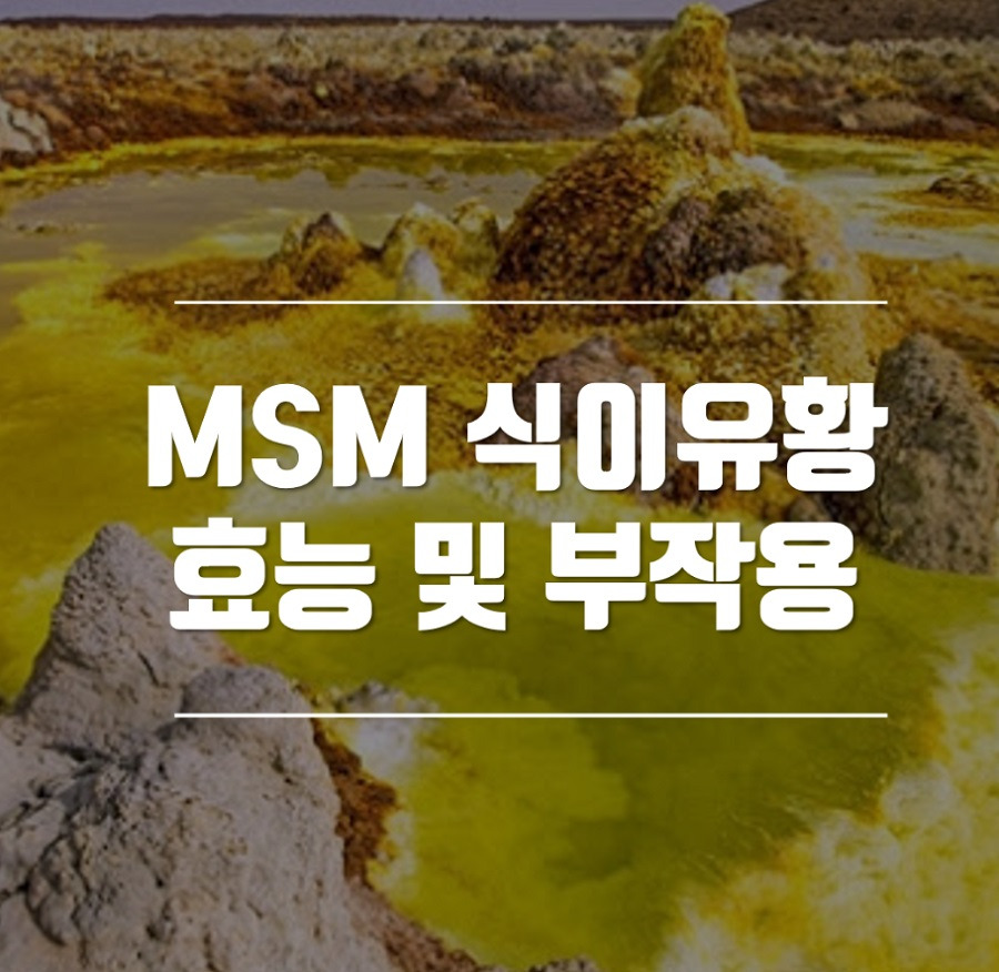 msm 식이유황 효능 및 부작용