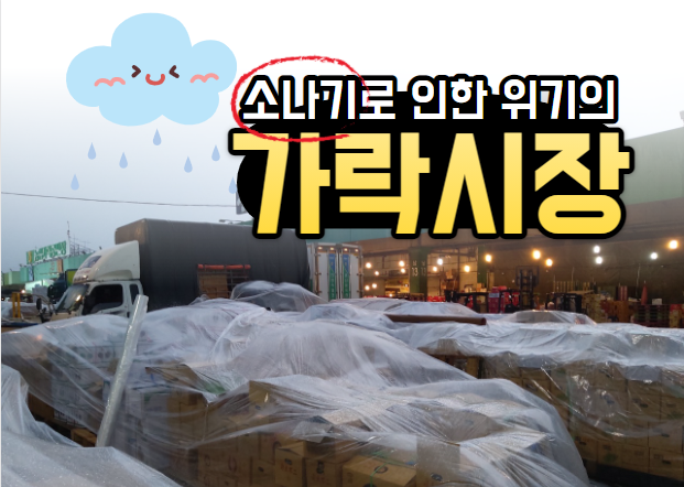  [경매사의 생각] 소나기로 인한 "위기의 가락시장"