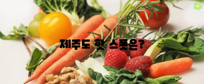 제주도 가볼만한곳 10곳 최신판 총정리