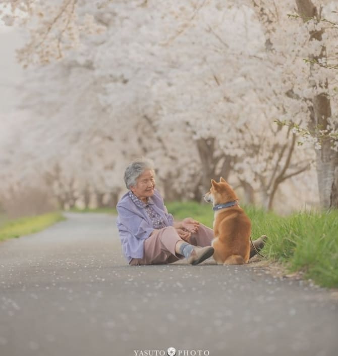 일본 사진작가의 특별한 유대감 Photographer Captures a Heartwarming Moment Between His Grandmother and Her Dog