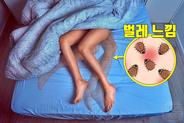 다리에 벌레 기어가는 느낌 하지불안증후군 원인