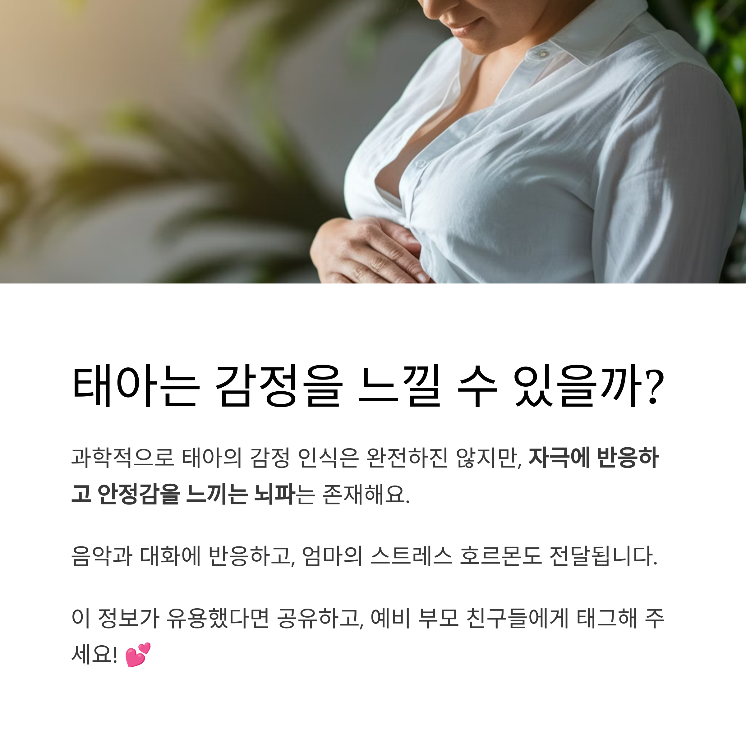 태아 활동 – 태아의 감정 반응과 안정감