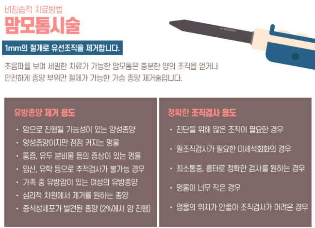 맘모톰 수술 비용 실비 맘모톰 후기(유방 섬유선종)