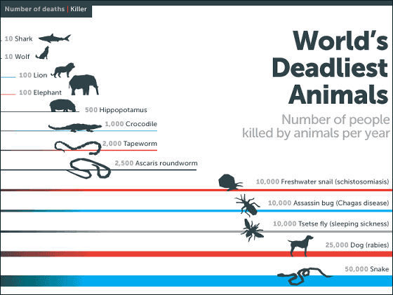 일년에 인간의 생명을 빼앗은 생물과 잃어버린 생명의 수를 그래프