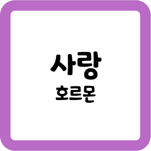 사랑호르몬