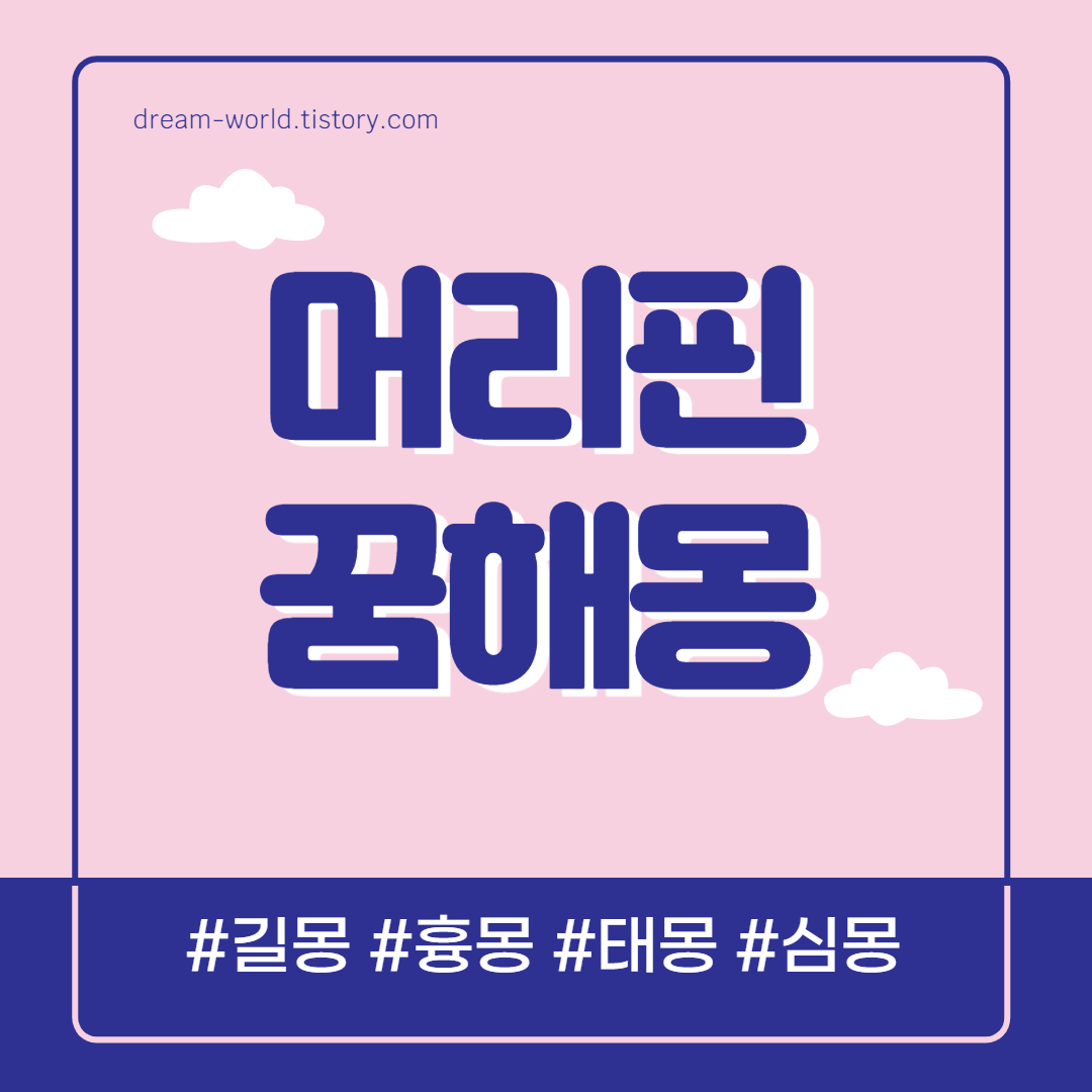  머리핀 꿈해몽 20가지 총정리 (예쁜 머리핀 꿈해몽, 머리핀을 선물 받는 꿈해몽, 핀 꽂는 꿈)