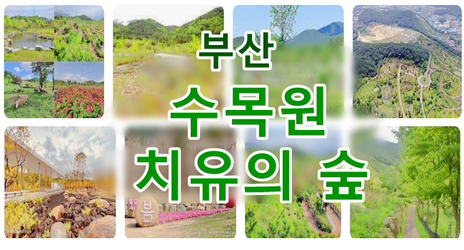 부산의 수목원 정보