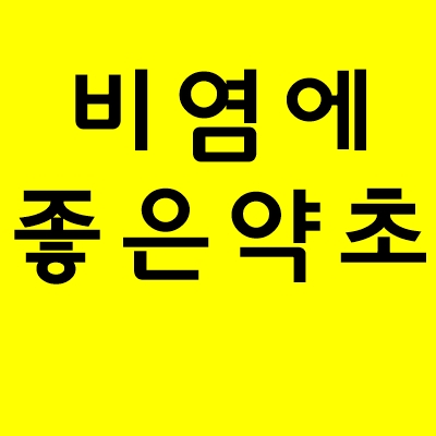 비염에 좋은 약초 비염차 9