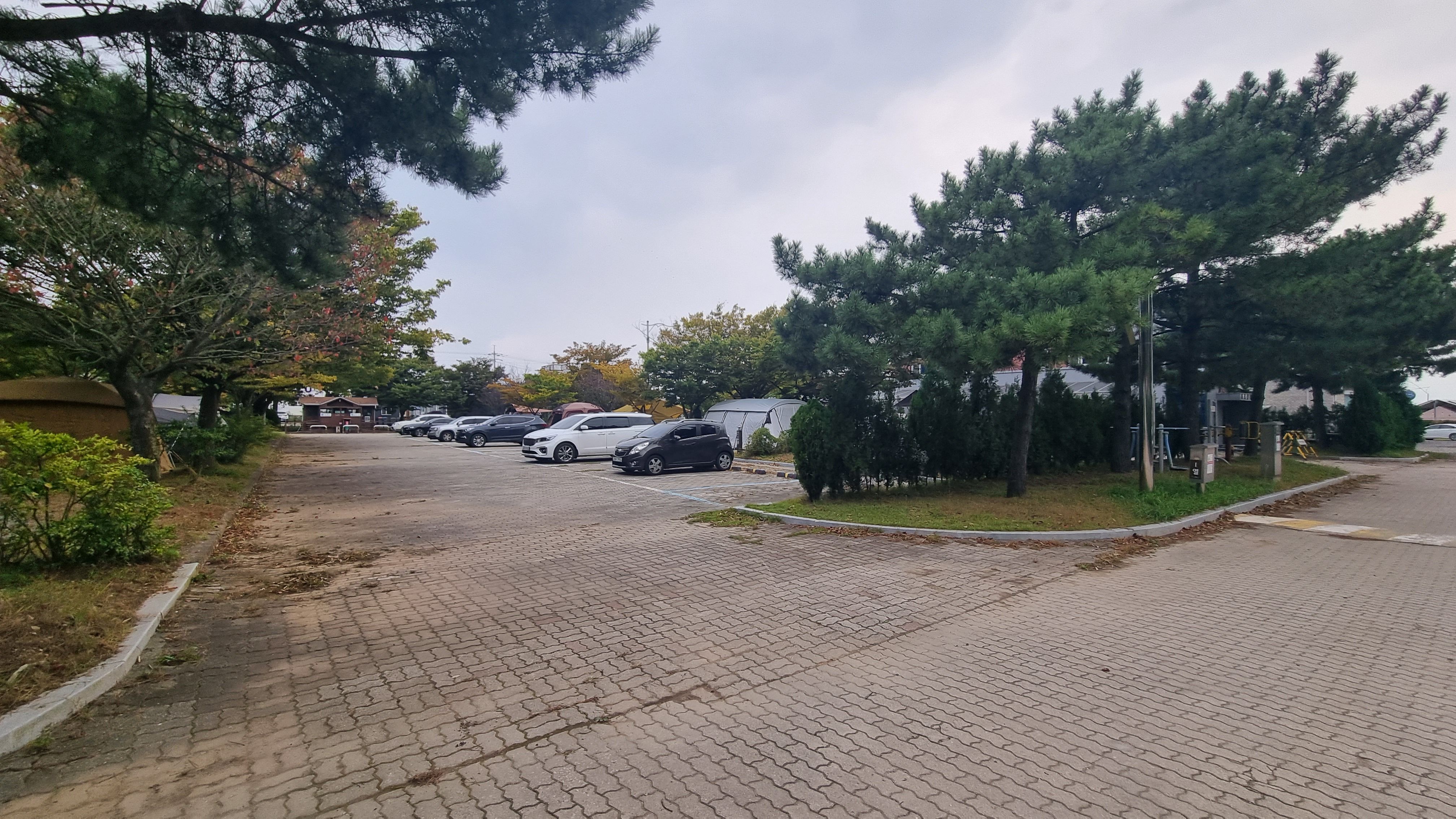  국립공원야영장 예약 오늘 2시 학암포야영장 i영지 10월정보