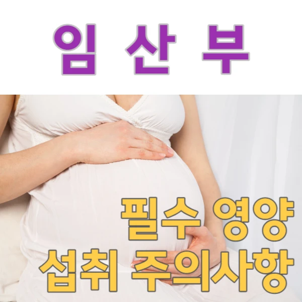 임산부 필수 영양소 섭취 시&#44; 조심 필요 사항 알려드립니다!