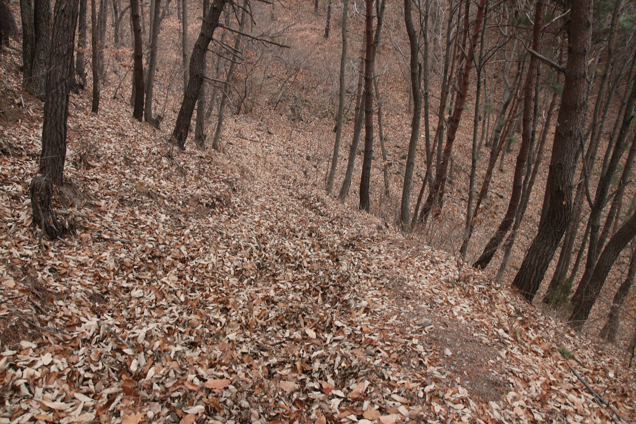 경남 의령군 국사봉 05 60