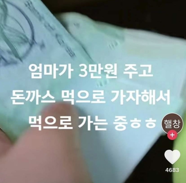  (유머) 어느 유투버의 방종