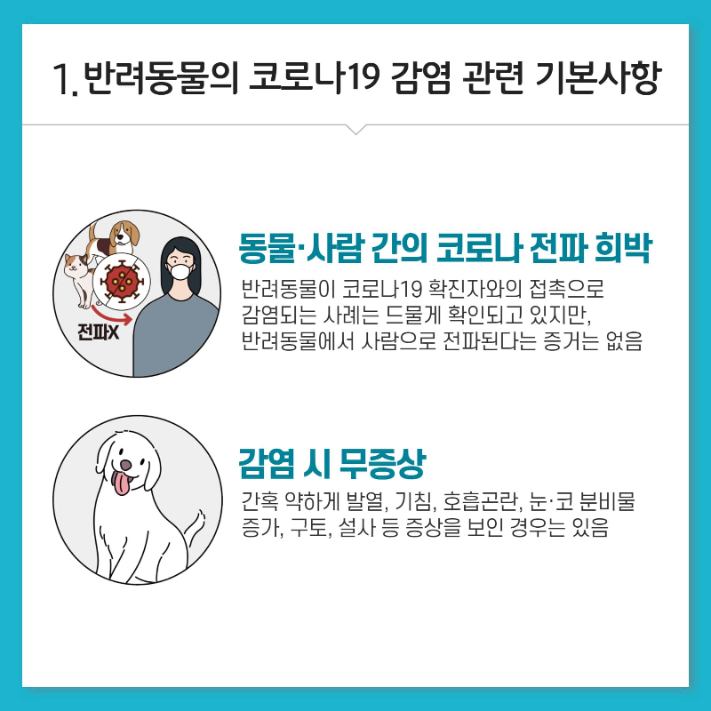 동물 사람간의 코로나 전파 희박&#44; 반려동물은 감염시 대체로 무증상