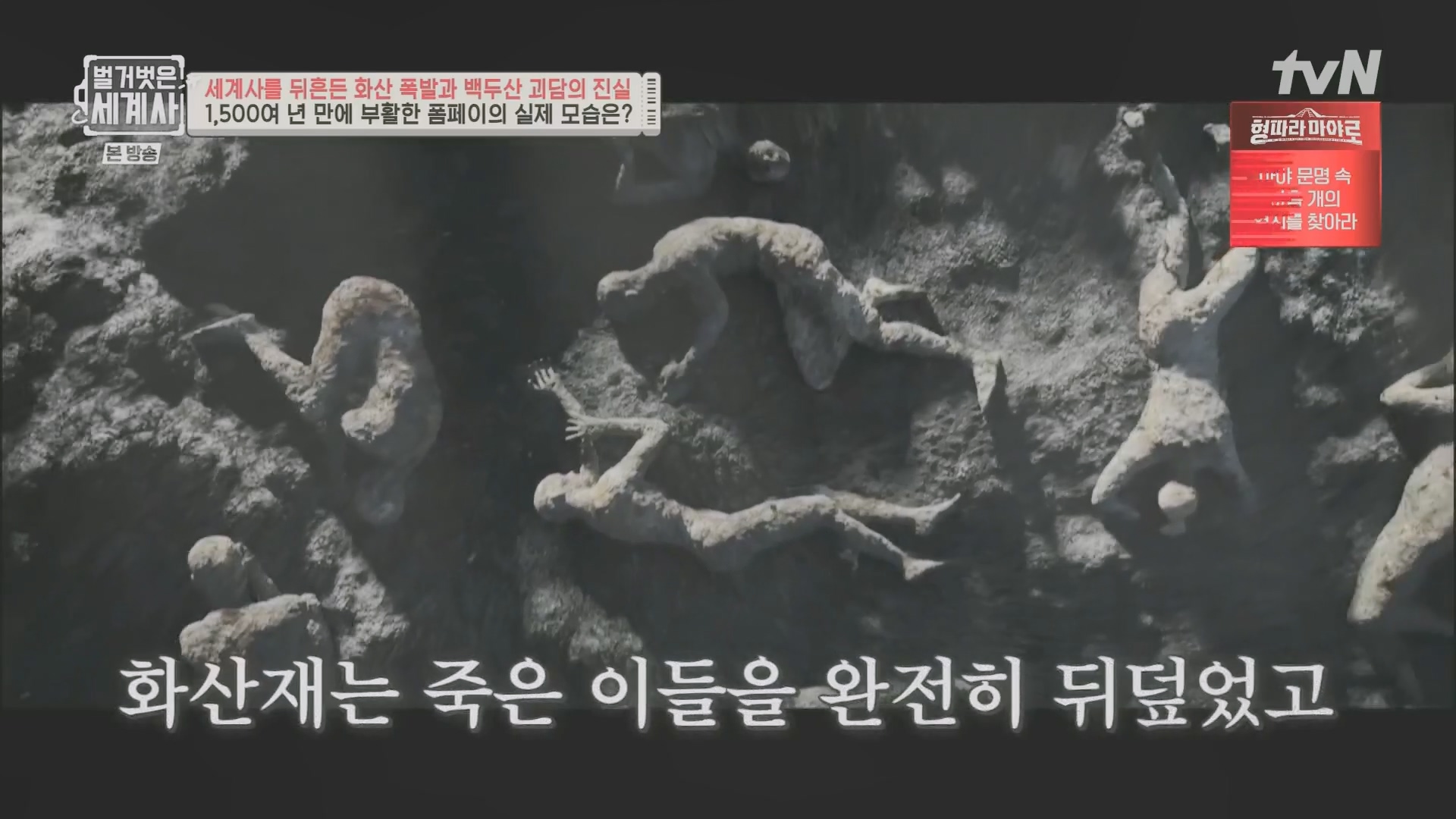 벌거벗은 세계사.E109.230725p.H264-F1RST.mp4_20240211_154609.602.jpg
