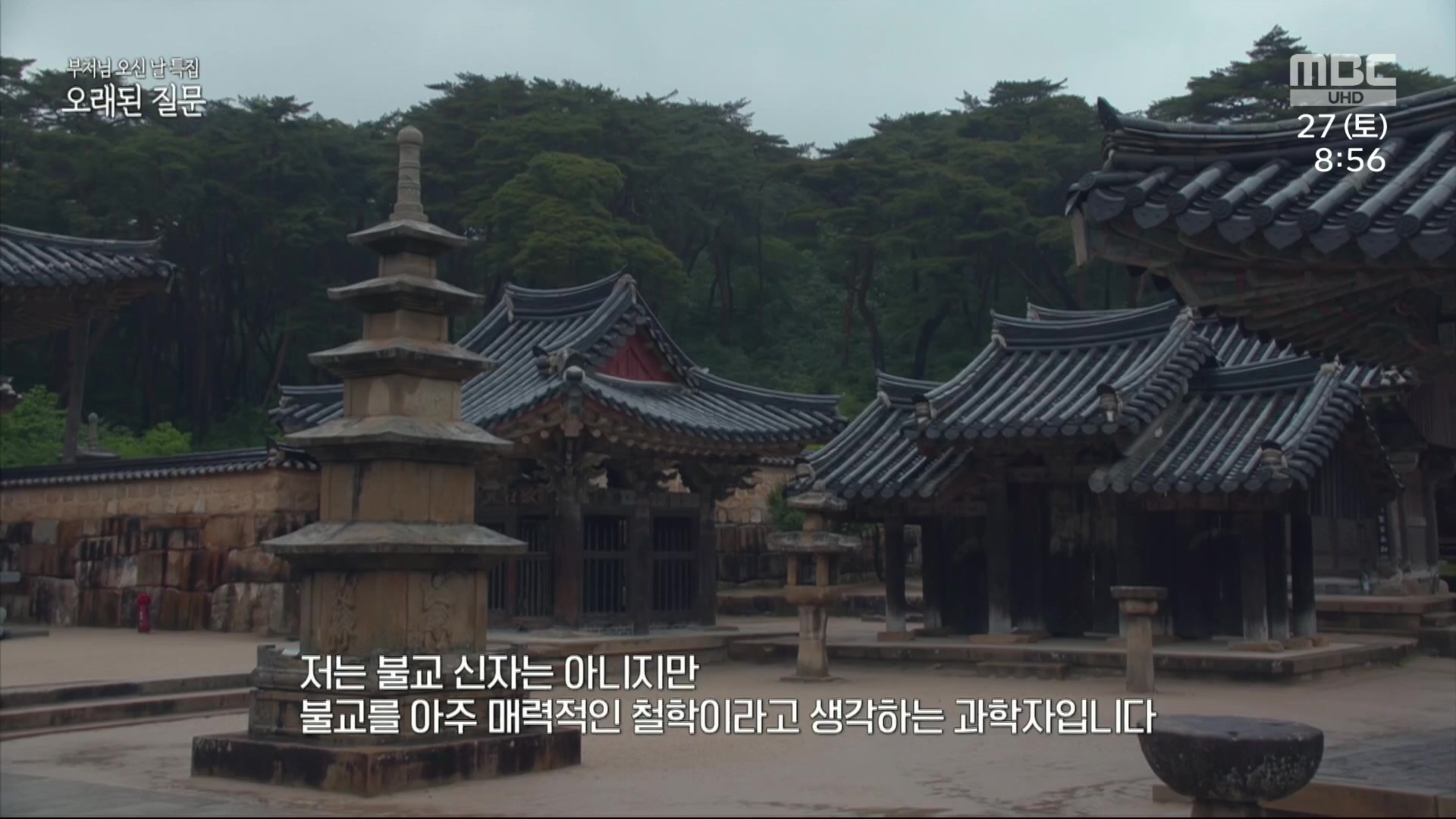 부처님 오신 날 특집 오래된 질문.230527p.H264-F1RST.mp4_20230527_171833.886.jpg