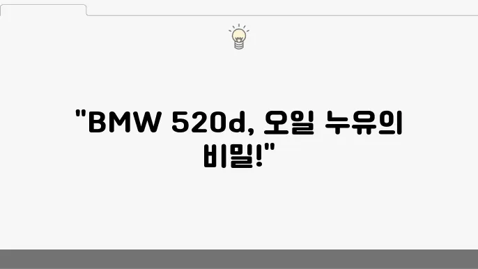 BMW 520d 고질병: 오일필터 하우징 누유 원인과 해결
