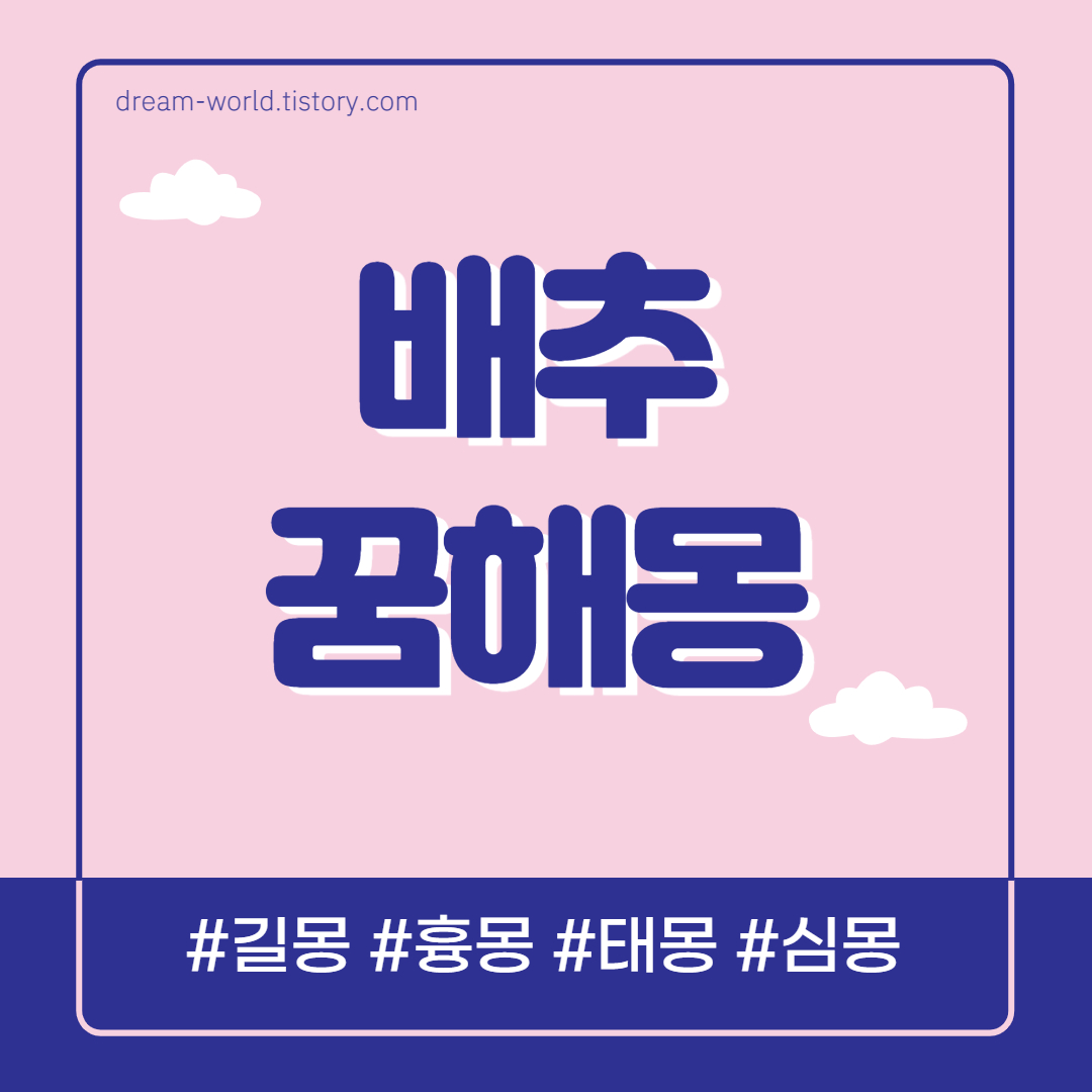  배추 꿈해몽 38가지 총정리 (배추 김치, 배추 받는 꿈, 절인배추 꿈해몽, 배추밭 꿈)
