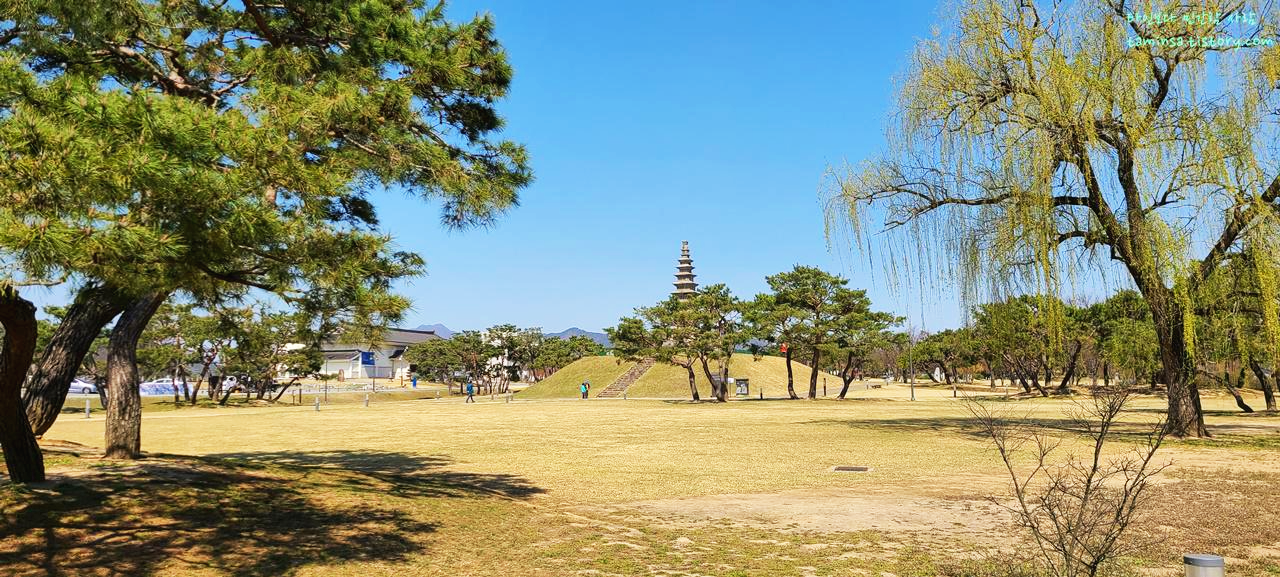  [봄맞이 꽃구경/충주 가볼만한 곳] 충주 중앙탑사적 공원 (드라마 빈센조 촬영지)