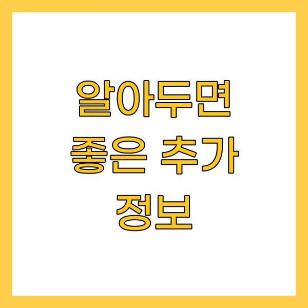 알아두면 좋은 추가 정보